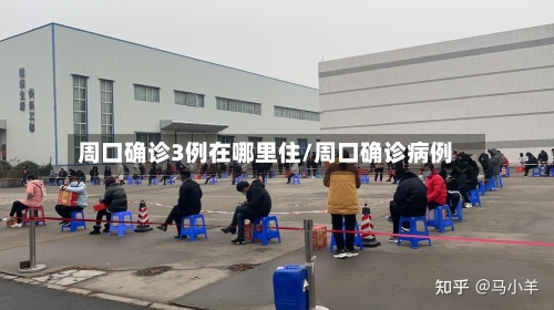 周口确诊3例在哪里住/周口确诊病例