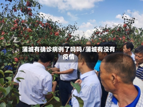 蒲城有确诊病例了吗吗/蒲城有没有疫情