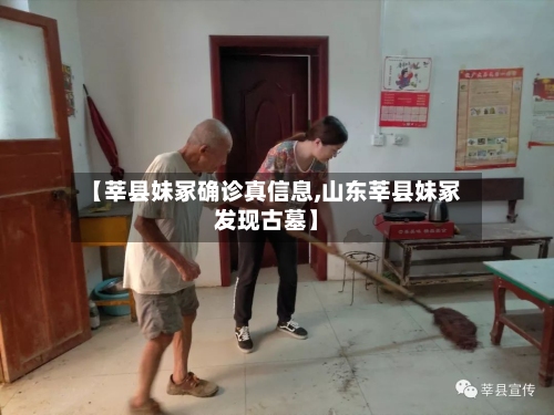 【莘县妹冢确诊真信息,山东莘县妹冢发现古墓】-第3张图片