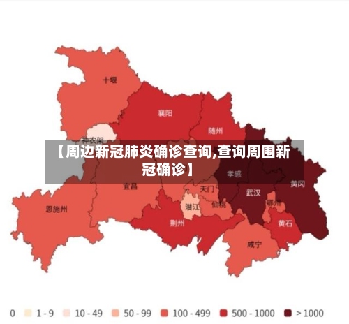 【周边新冠肺炎确诊查询,查询周围新冠确诊】