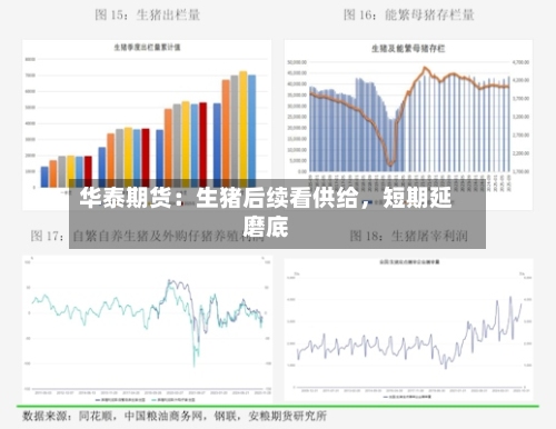 华泰期货：生猪后续看供给，短期延磨底-第1张图片