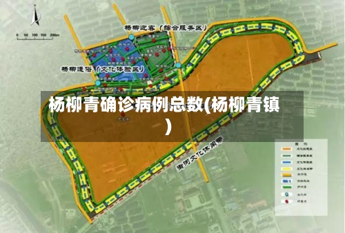 杨柳青确诊病例总数(杨柳青镇)