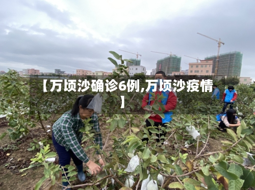 【万顷沙确诊6例,万顷沙疫情】