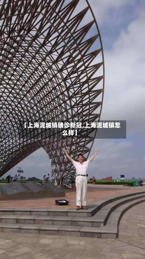 【上海泥城镇确诊新冠,上海泥城镇怎么样】