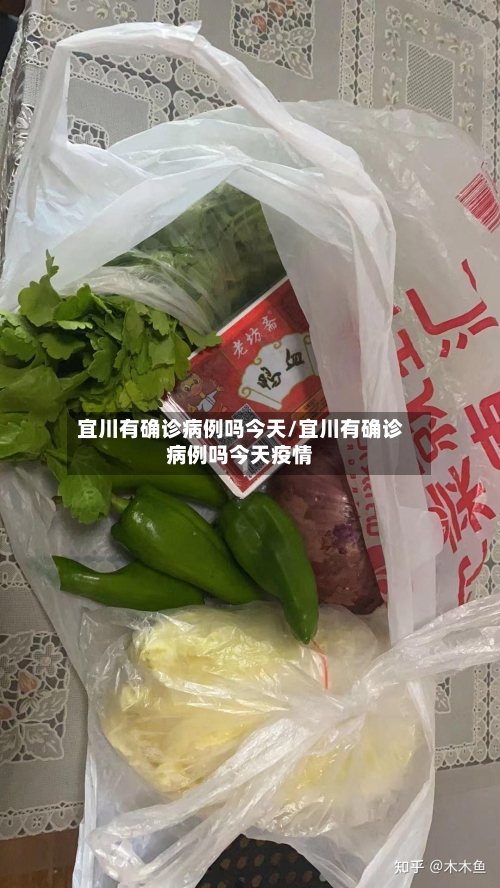 宜川有确诊病例吗今天/宜川有确诊病例吗今天疫情