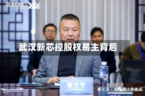 武汉新芯控股权易主背后