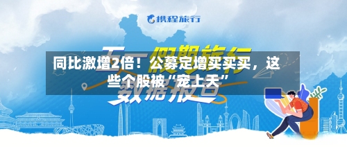 同比激增2倍！公募定增买买买，这些个股被“宠上天”-第2张图片