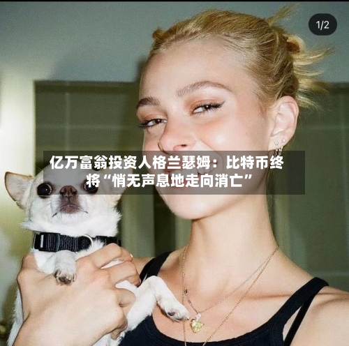 亿万富翁投资人格兰瑟姆：比特币终将“悄无声息地走向消亡”-第3张图片