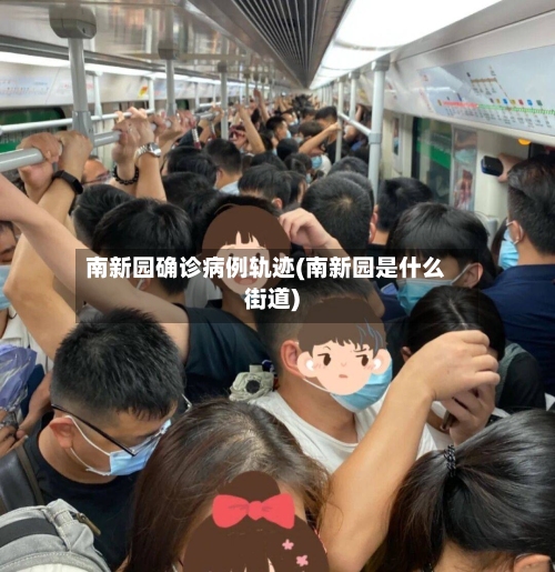 南新园确诊病例轨迹(南新园是什么街道)