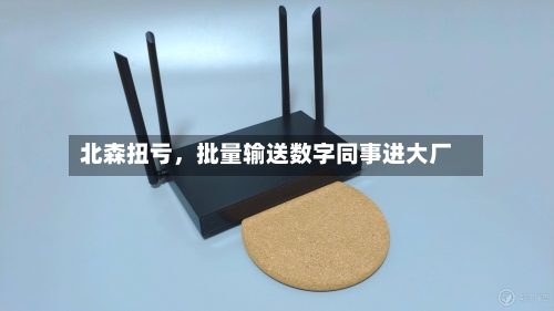 北森扭亏，批量输送数字同事进大厂-第2张图片