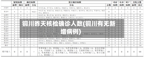 铜川昨天核检确诊人数(铜川有无新增病例)-第2张图片