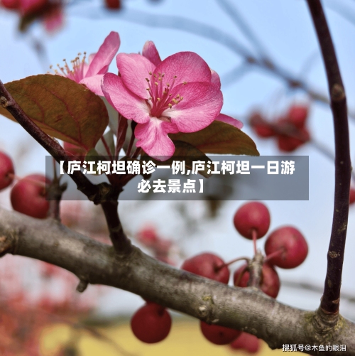 【庐江柯坦确诊一例,庐江柯坦一日游必去景点】
