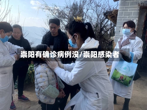 崇阳有确诊病例没/崇阳感染者