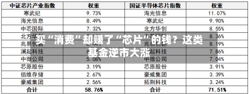 买“消费”却赚了“芯片”的钱？这类基金逆市大涨-第2张图片