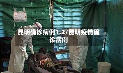昆明确诊病例1.2/昆明疫情确诊病例