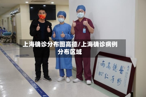 上海确诊分布图高德/上海确诊病例分布区域