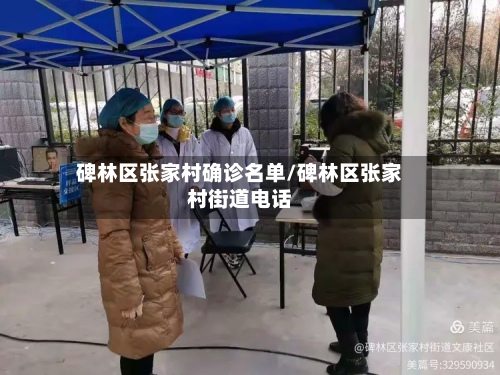 碑林区张家村确诊名单/碑林区张家村街道电话