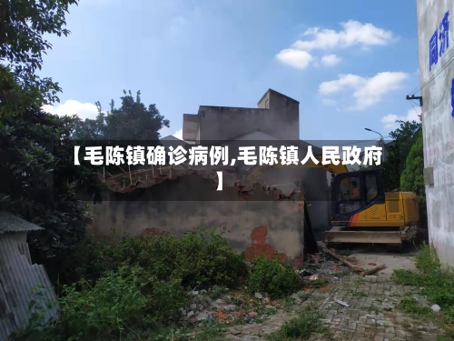 【毛陈镇确诊病例,毛陈镇人民政府】