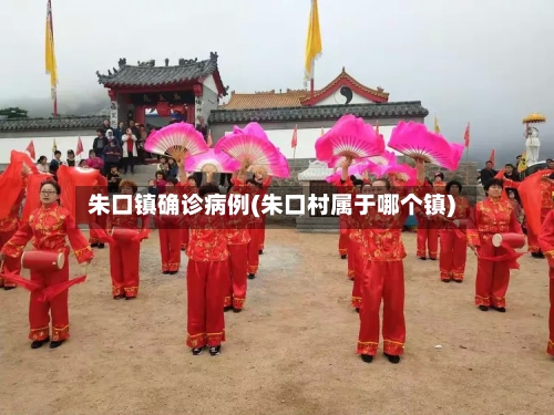 朱口镇确诊病例(朱口村属于哪个镇)-第2张图片