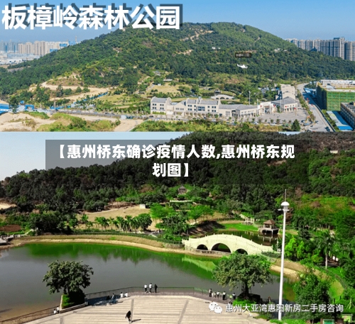 【惠州桥东确诊疫情人数,惠州桥东规划图】