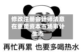 修改注册会计师法意在重塑资本市场审计生态-第3张图片
