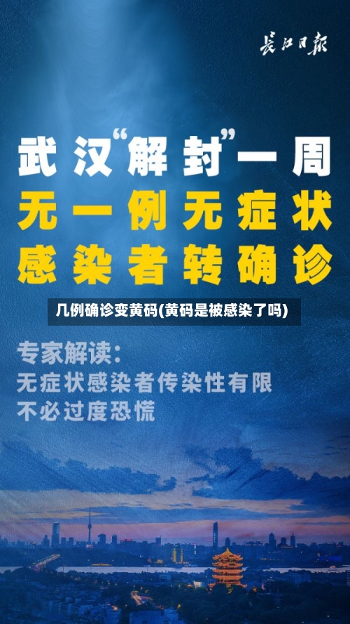 几例确诊变黄码(黄码是被感染了吗)-第2张图片