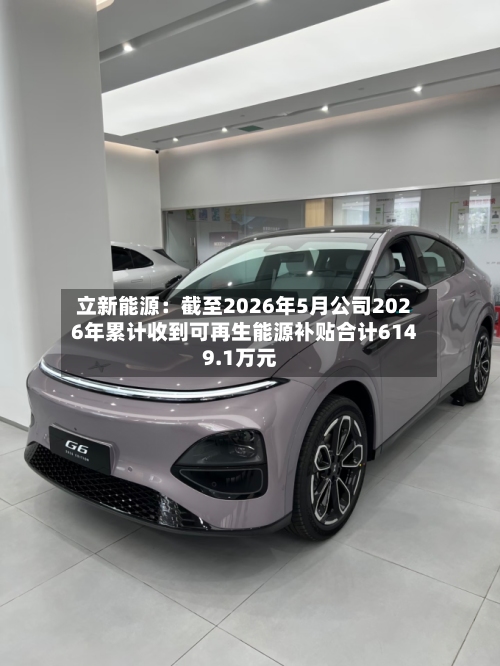 立新能源：截至2026年5月公司2026年累计收到可再生能源补贴合计6149.1万元-第2张图片