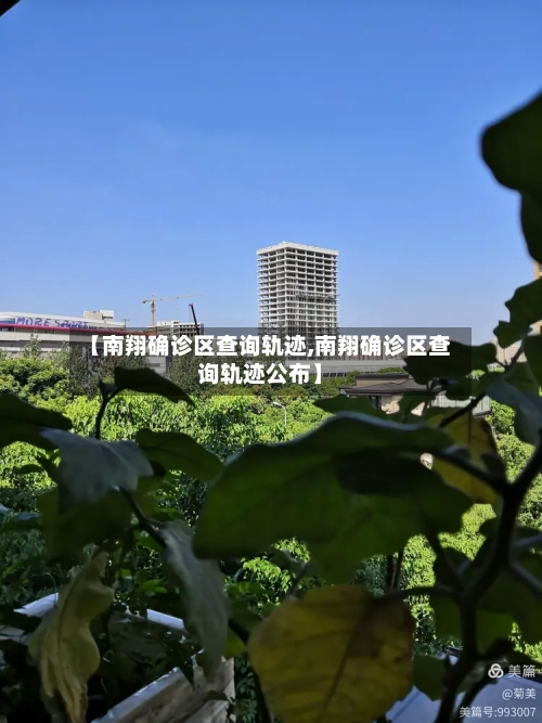 【南翔确诊区查询轨迹,南翔确诊区查询轨迹公布】-第3张图片
