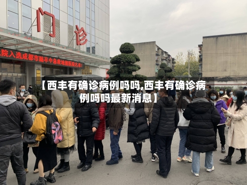 【西丰有确诊病例吗吗,西丰有确诊病例吗吗最新消息】-第2张图片