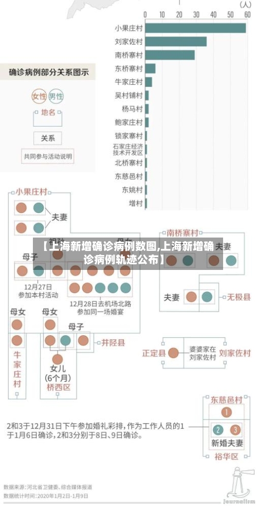 【上海新增确诊病例数图,上海新增确诊病例轨迹公布】-第2张图片