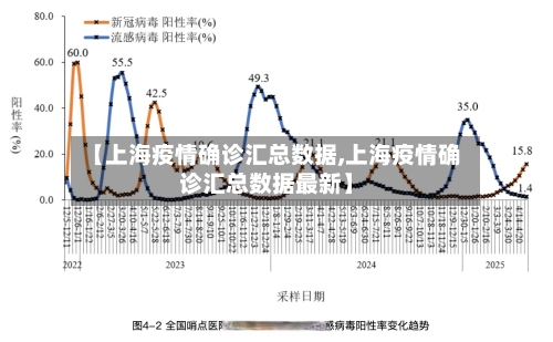 【上海疫情确诊汇总数据,上海疫情确诊汇总数据最新】-第2张图片