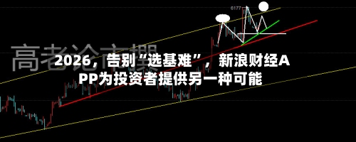 2026	，告别“选基难”，新浪财经APP为投资者提供另一种可能-第3张图片