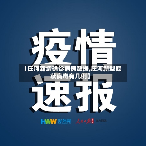 【庄河新增确诊病例数据,庄河新型冠状病毒有几例】-第2张图片