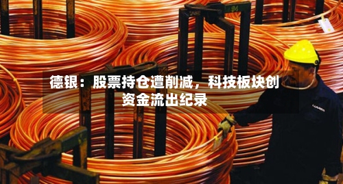 德银：股票持仓遭削减，科技板块创资金流出纪录