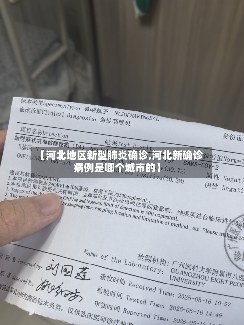 【河北地区新型肺炎确诊,河北新确诊病例是哪个城市的】-第2张图片