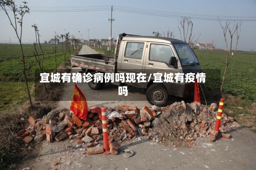 宜城有确诊病例吗现在/宜城有疫情吗-第2张图片