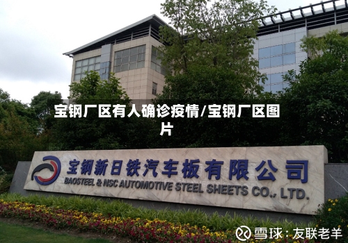 宝钢厂区有人确诊疫情/宝钢厂区图片