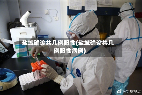 盐城确诊共几例阳性(盐城确诊共几例阳性病例)-第3张图片