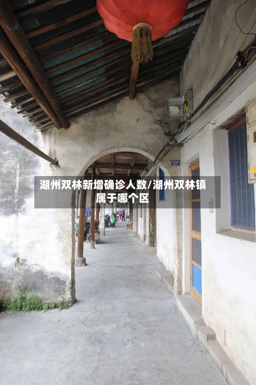 湖州双林新增确诊人数/湖州双林镇属于哪个区-第2张图片