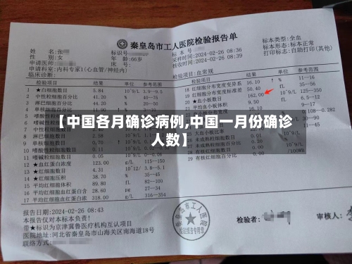 【中国各月确诊病例,中国一月份确诊人数】-第2张图片