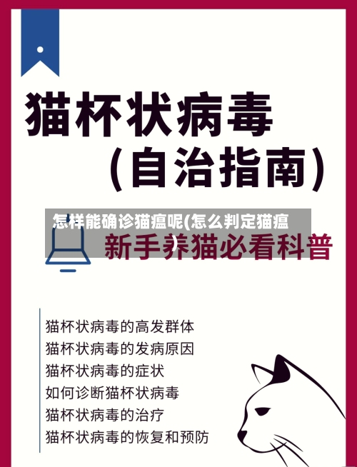 怎样能确诊猫瘟呢(怎么判定猫瘟)-第3张图片