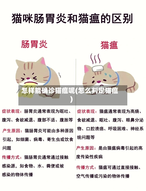 怎样能确诊猫瘟呢(怎么判定猫瘟)-第2张图片