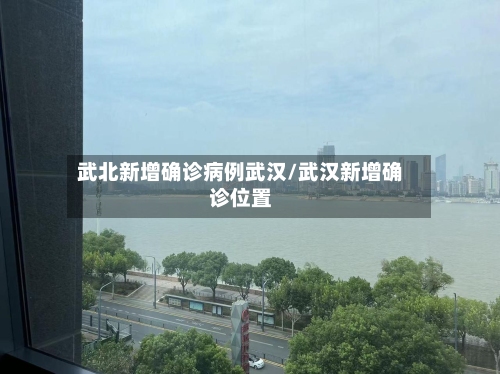 武北新增确诊病例武汉/武汉新增确诊位置-第2张图片