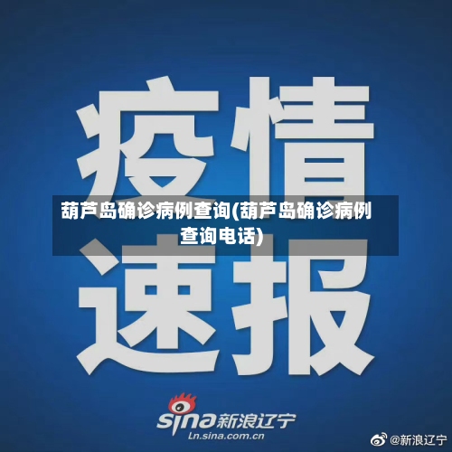 葫芦岛确诊病例查询(葫芦岛确诊病例查询电话)