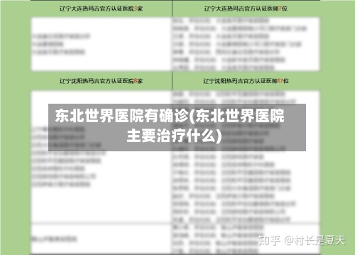 东北世界医院有确诊(东北世界医院主要治疗什么)-第2张图片