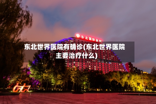 东北世界医院有确诊(东北世界医院主要治疗什么)-第3张图片