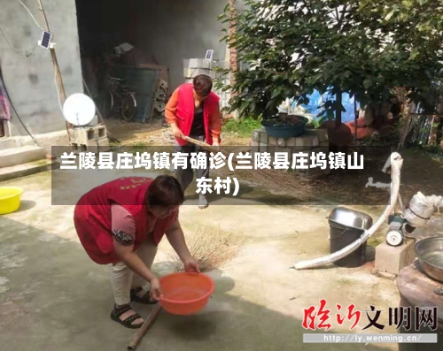 兰陵县庄坞镇有确诊(兰陵县庄坞镇山东村)