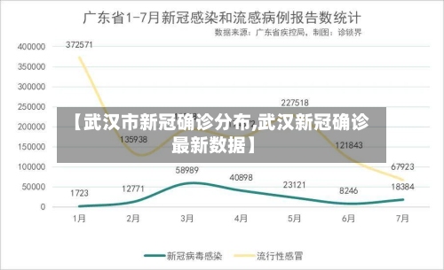 【武汉市新冠确诊分布,武汉新冠确诊最新数据】-第2张图片