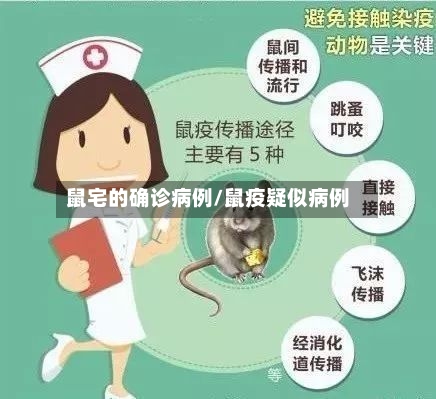 鼠宅的确诊病例/鼠疫疑似病例-第2张图片