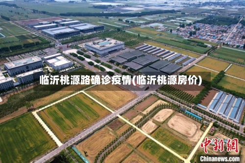 临沂桃源路确诊疫情(临沂桃源房价)-第2张图片
